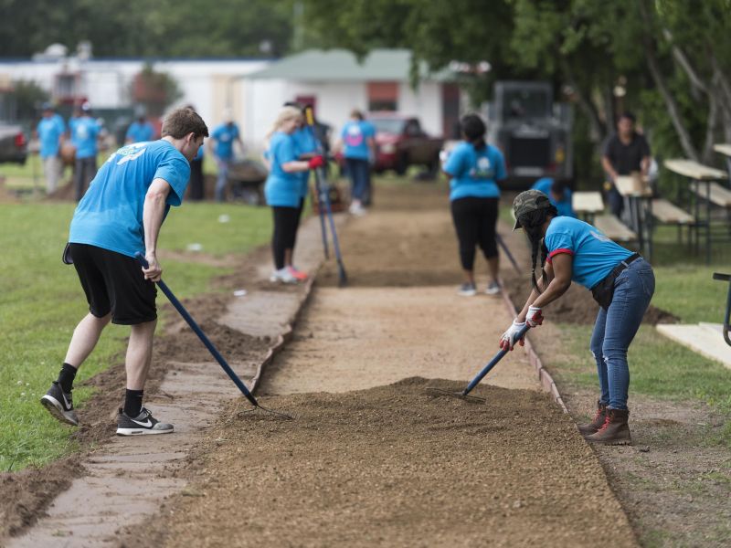 Volunteers in blue shirts spread dirt on a path with rakes in an outdoor community area.