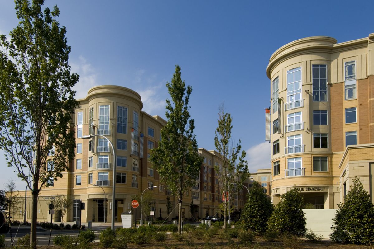 Modern apartment buildings with large windows and trees lining the street under a clear blue sky.