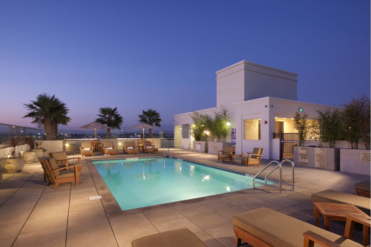 Rooftop pool at dusk, surrounded by lounge chairs, palm trees, and a lit modern building.