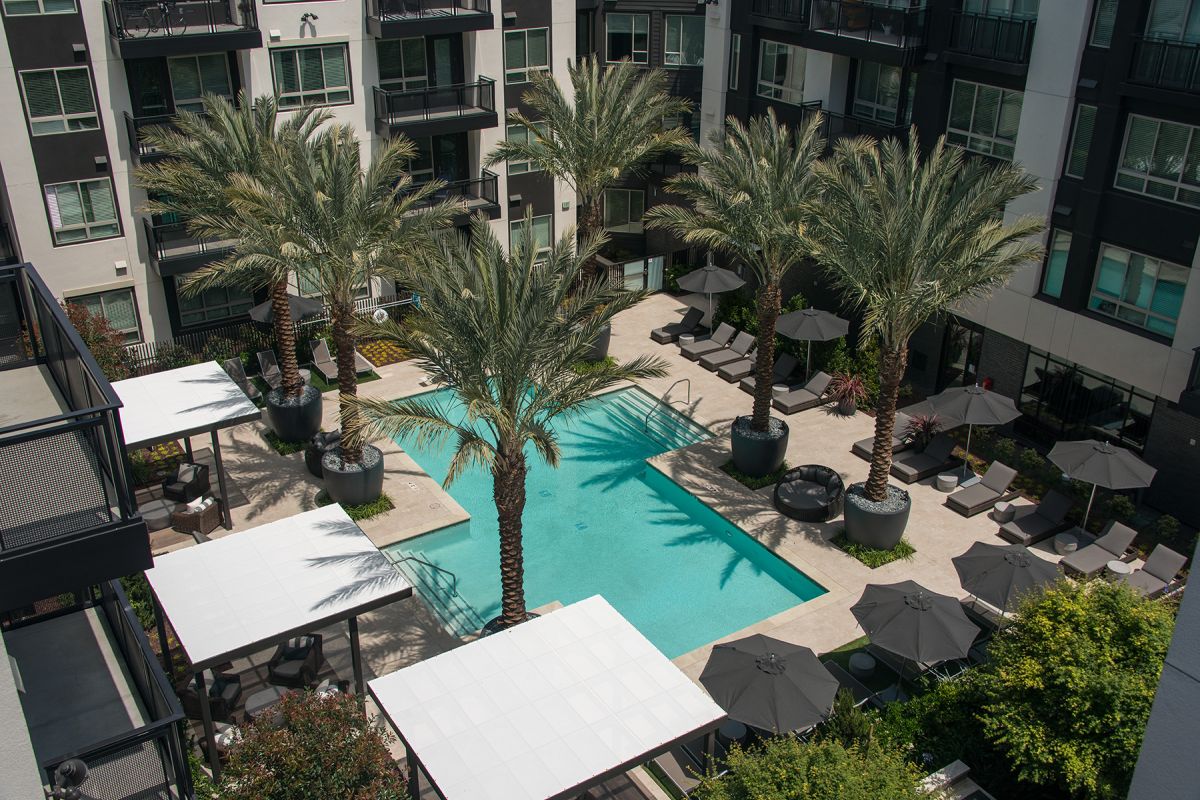 A modern apartment courtyard with palm trees, a swimming pool, lounge chairs, and umbrellas.