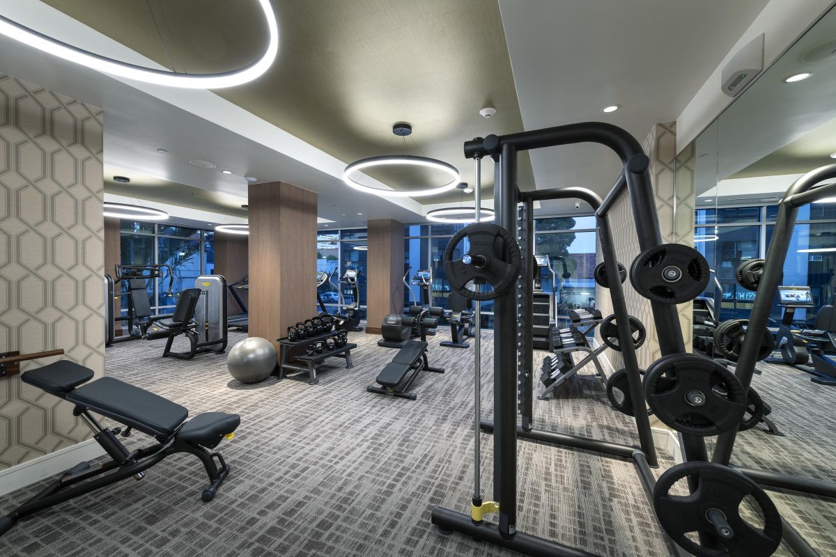 Modern gym with weight racks, benches, exercise machines, a stability ball, and circular ceiling lights.