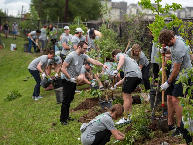 A group of people in gray shirts planting trees and working in a grassy outdoor area.