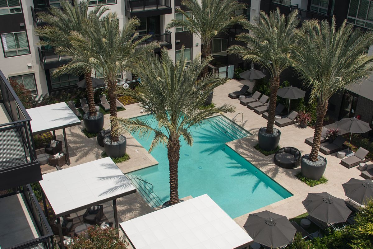 A modern apartment complex courtyard with a swimming pool, palm trees, and lounge areas.